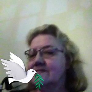 Meet your Posher, Carroll